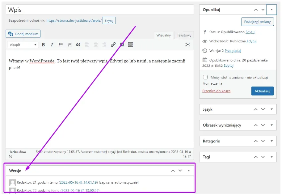 Revisions panel at the bottom of the post editor with a list of changes