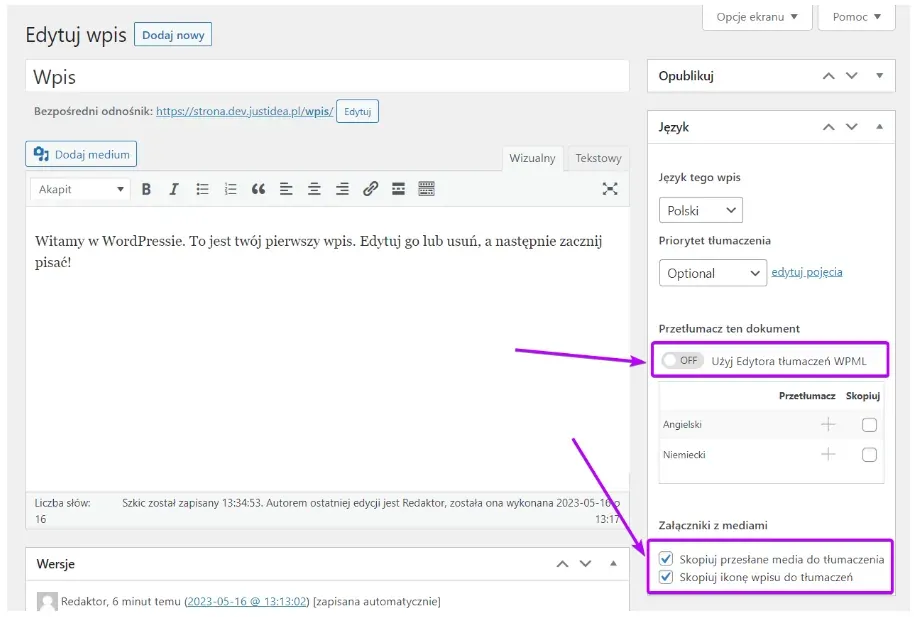 WPML Translation Editor toggle and media copying checkboxes