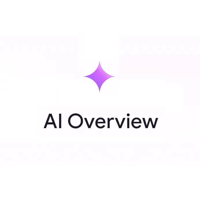 AI Overview