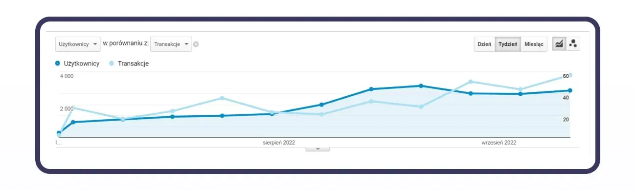 shoe shop SEO case study: transactions