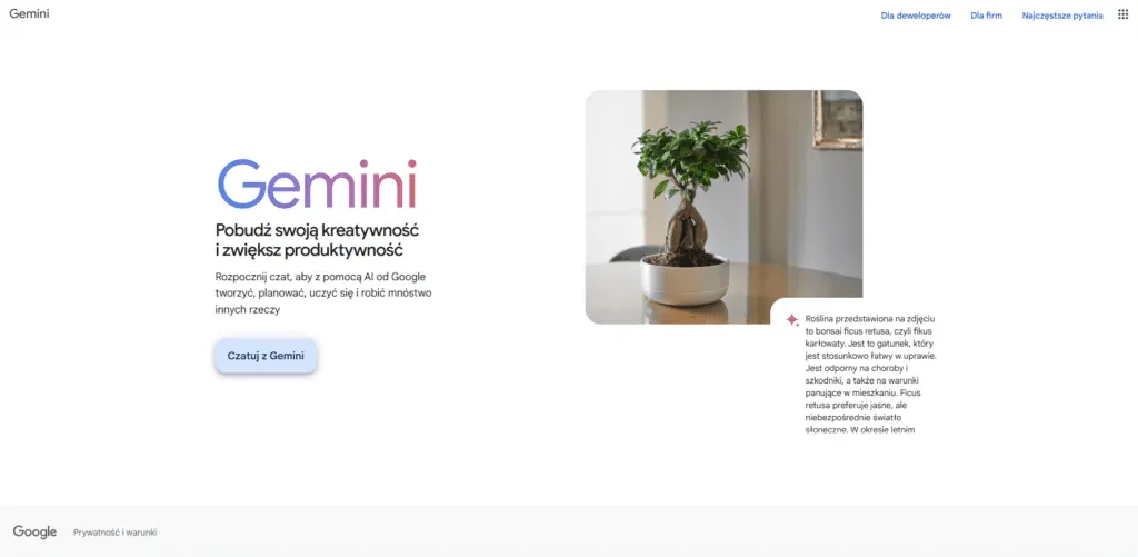 Gemini AI homepage with the Chat with Gemini button and a bonsai photo
