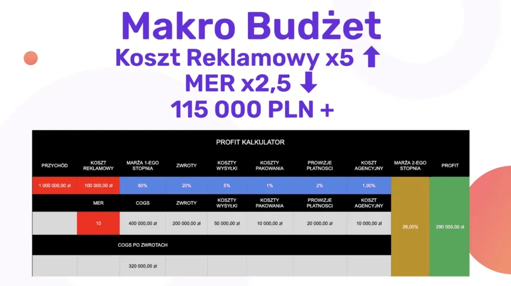 Macro e-commerce budget: advertising costs and MER
