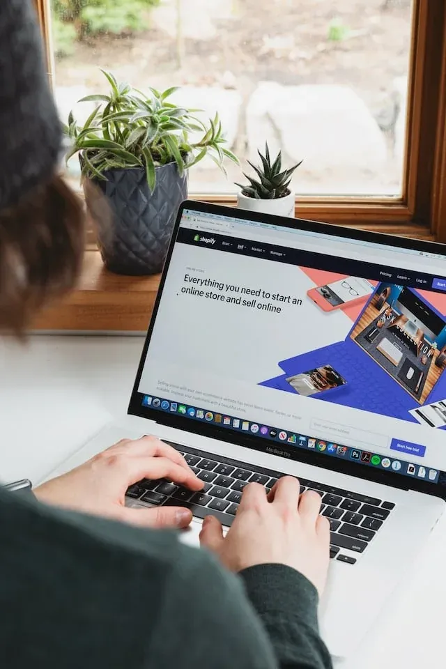 alternative to a custom online store