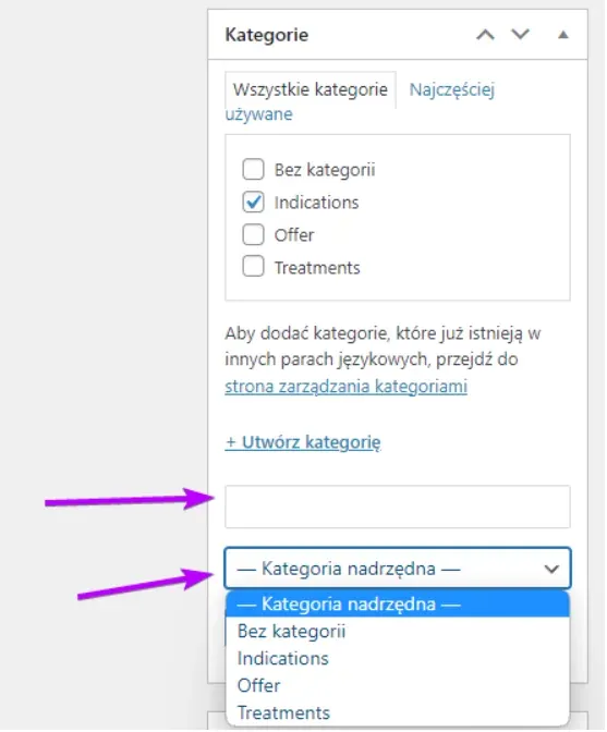 New category name field and the Parent Category list
