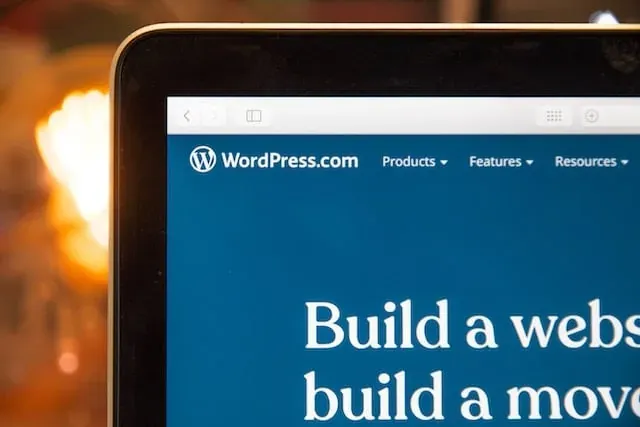 WordPress SEO audit