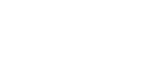 Surf Inc.